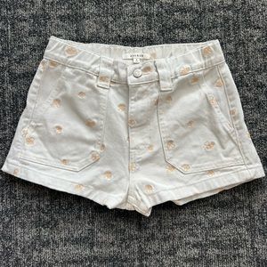 Embroidered mushroom pacsun shorts